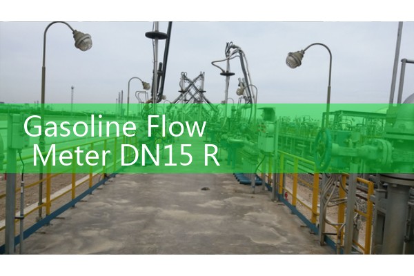 Gasoline Flow Meter DN15 Retail Dispenser Piping Limits